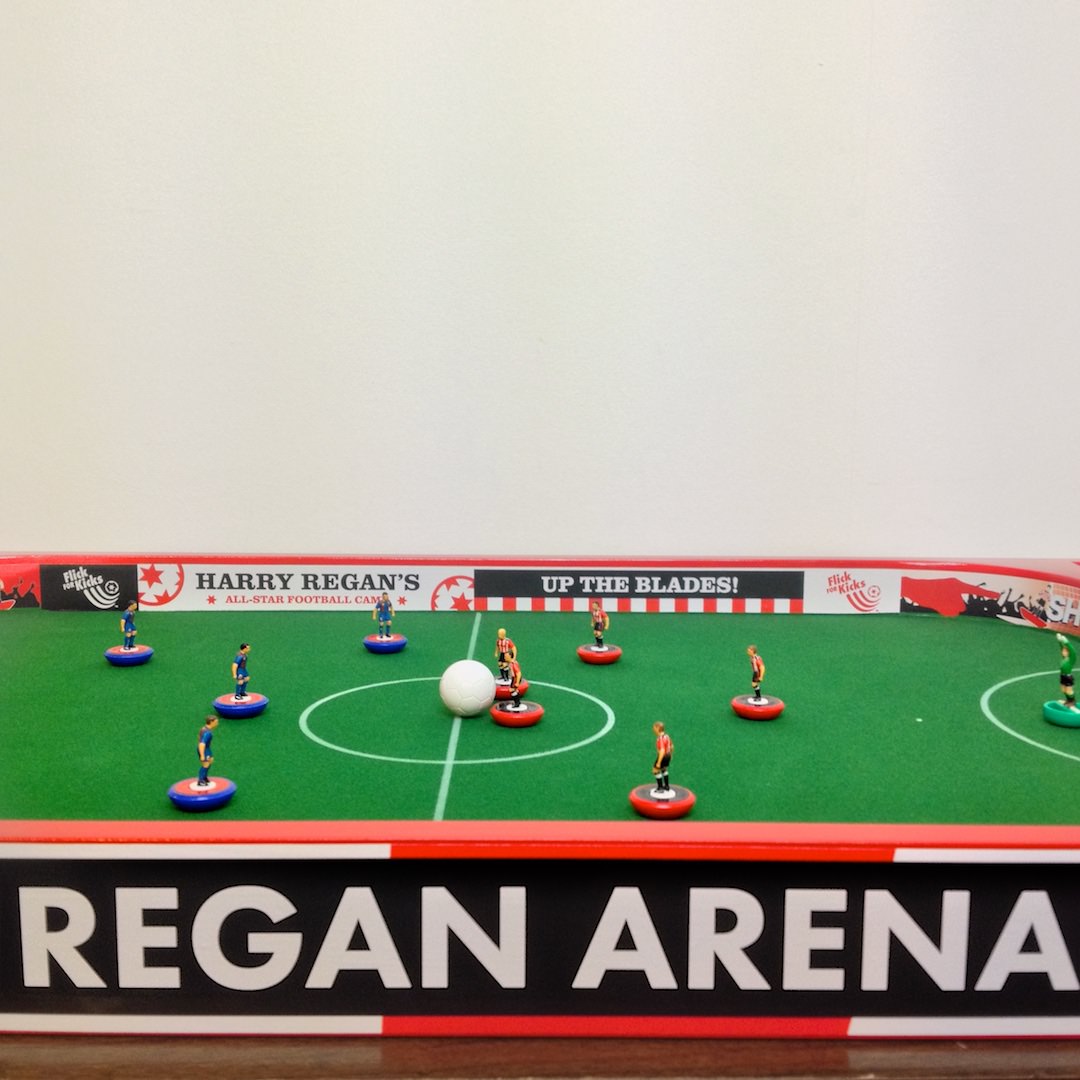 The Regan Arena - Personalised graphics